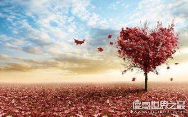 网络热词男票流行,男朋友为啥叫男票(源于台湾发音)