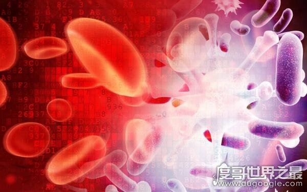 4个血型哪个血型最好，普遍认为被称为贵族血的AB血型最好