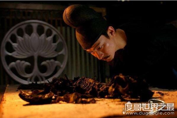令人自燃的赤焰金龟,原型是滚山球马陆(是治病救人的药虫)