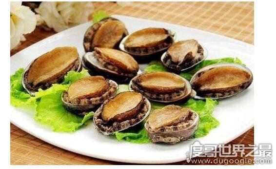 哪种鱼不属于鱼类？不属于鱼类的鱼盘点(鲸鱼/鲍鱼/章鱼)