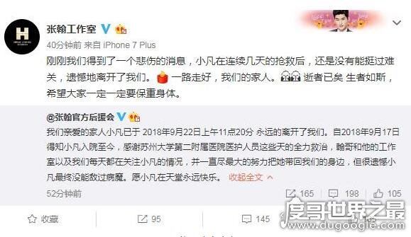 张翰悼念女粉丝，9个字看出他无限的沉重和惋惜