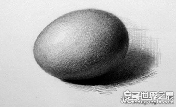 重温达芬奇画鸡蛋的故事，只有打好基础才能获得更高成就