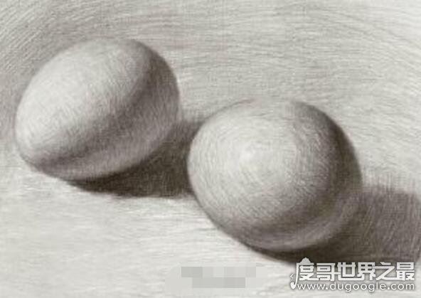重温达芬奇画鸡蛋的故事,只有打好基础才能获得更高成就