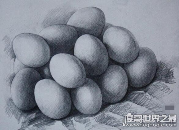重温达芬奇画鸡蛋的故事,只有打好基础才能获得更高成就