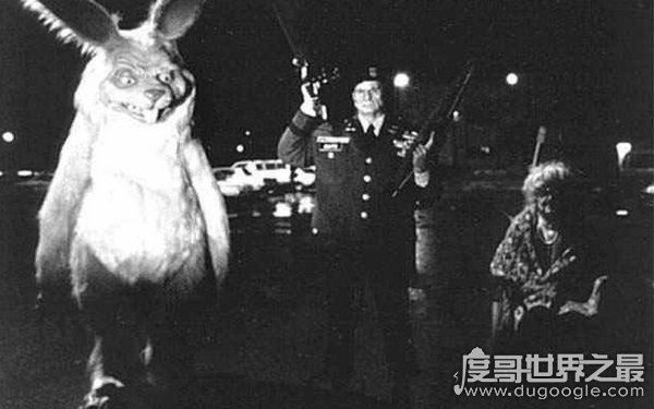 美国恐怖兔人真的存在吗，揭秘兔人真实事件（图片流出）