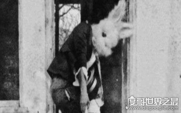 美国恐怖兔人真的存在吗，揭秘兔人真实事件（图片流出）