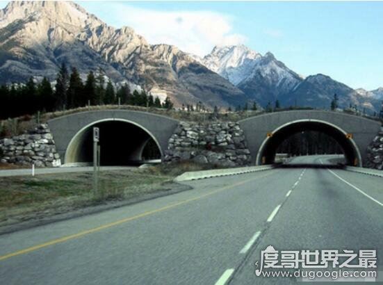 世界十大最长的高速公路，美国泛美公路48000公里让你崩溃