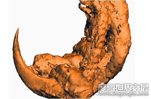 亿年前凶猛古鸟类，从琥珀中发现迷你猛禽(看起来小却很凶)