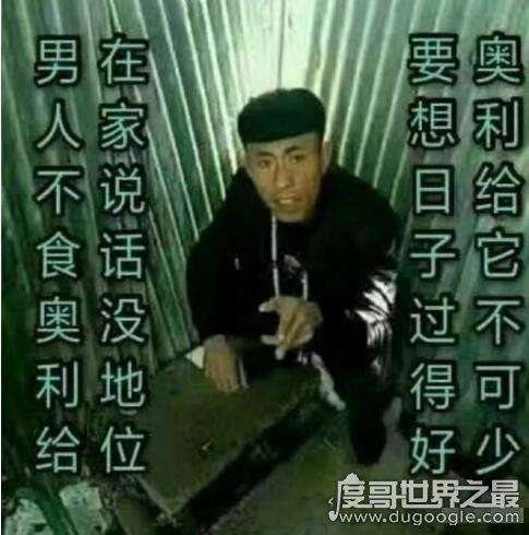 奥利给什么意思,奥利给跟屎有什么关系(本意为加油打气)