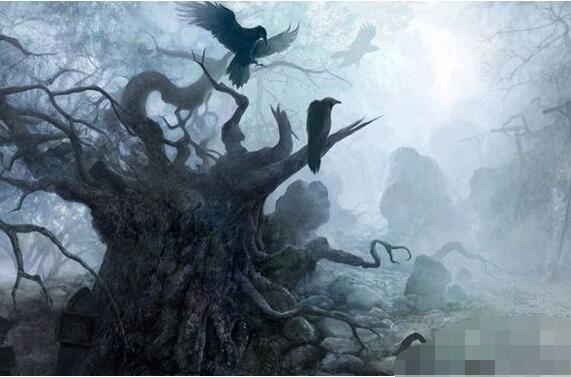 悖论学说之黄油猫悖论，永远都是猫脚先落地(实验过程)