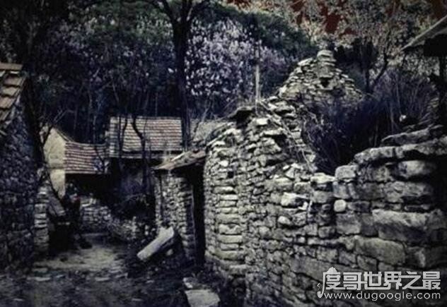 1987陕西夜狸猫事件回顾,真相至今无人知晓(疑是谣言)