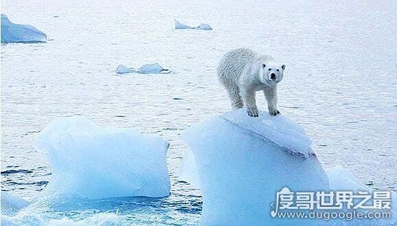 2018世界末日被证实是假的,小行星撞击地球百年内不会发生