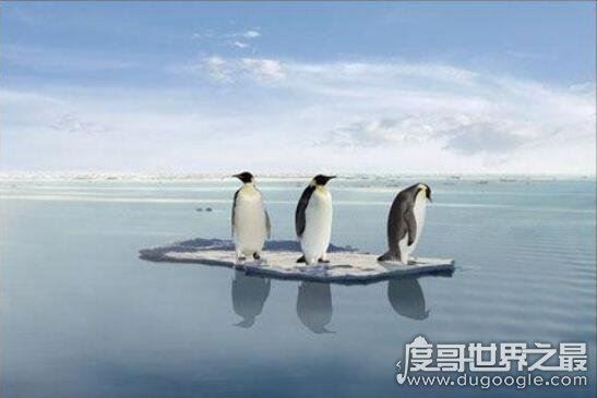 2018世界末日被证实是假的，小行星撞击地球百年内不会发生