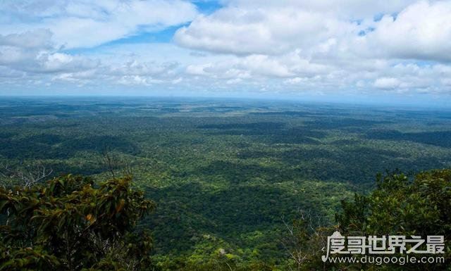 大陆自然带种类最多的大洲是北美洲，共有九种(最少的是南极洲)