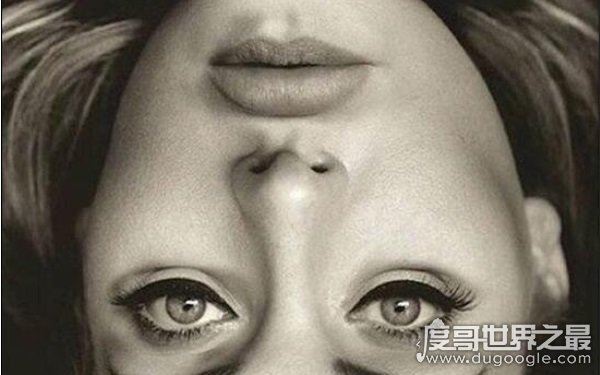 初看不觉异样,一张图倒过来吓死人(撒切尔效应)