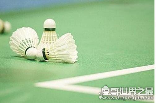 以下哪种球类运动的最高时速是最快的,羽毛球(最快纪录462公里/小时)