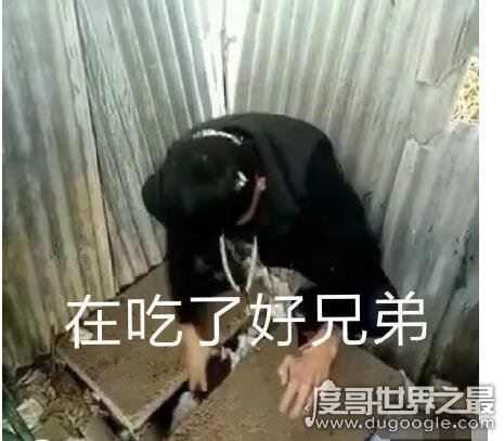 快手吃粑粑奥利给视频,奥利给挑战吃粑粑是目前网上很火的梗