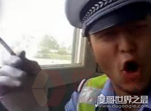 忐忑交警搞笑视频欣赏，他就是拍这个视频才丢掉工作的