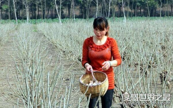 妇女的年龄标准怎么定义，来看看官方解释（大部分人都理解错了）
