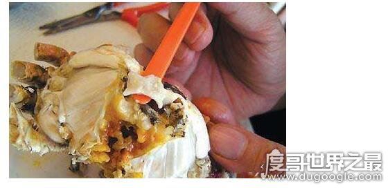 螃蟹哪里不能吃高清图，这四张图片告诉你螃蟹需要清除的部位