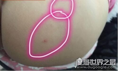 红黄蓝幼儿园虐童事件，涉事教师被逮捕园长被免职