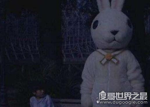 恐怖童谣十只兔子的故事答案，二兔子才是害死五兔子的真凶