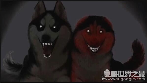 smile dog微笑狗为什么吓人，明白恐怖原理后再也不怕了