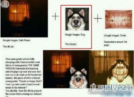 smile dog微笑狗为什么吓人，明白恐怖原理后再也不怕了