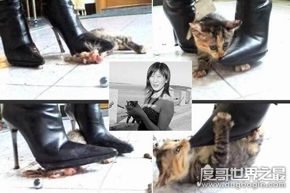 高跟鞋虐猫事件,女子穿高跟鞋活活踩死可爱的猫咪