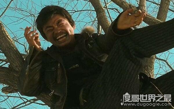 王宝强演技巅峰，树先生解析细思极恐（电影蕴含深意）