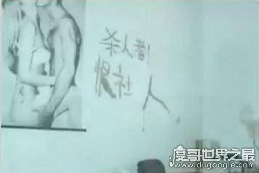 变态杀人狂魔董文语,2个月杀6人并奸尸最终栽在电线上