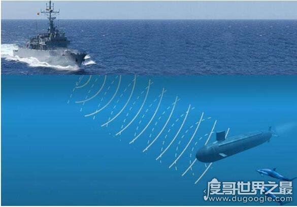 生活中有哪些发明是受到了动物的启发，防毒面具发明是受野猪启发