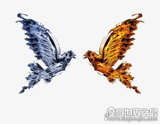 比翼鸟是什么鸟,比喻爱情的古代神鸟(一只眼睛一只翅膀)
