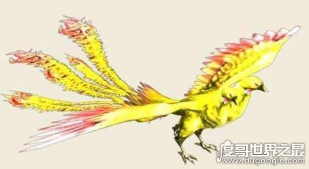 比翼鸟是什么鸟，比喻爱情的古代神鸟(一只眼睛一只翅膀)