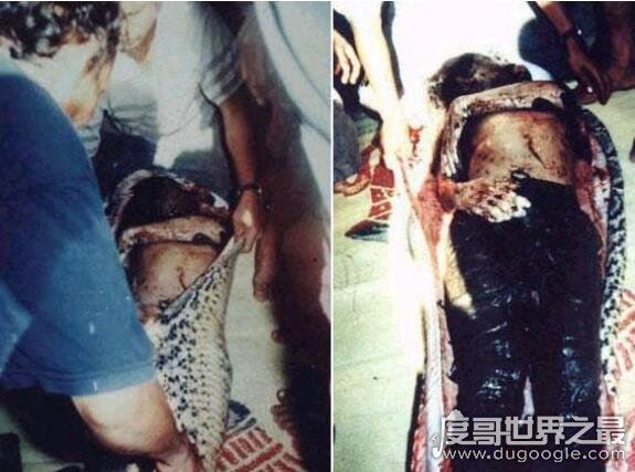大蟒蛇吃人事件是真的吗?大蟒蛇将农妇生吞画面惨不忍睹