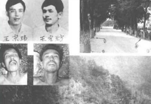 东北二王事件真相，持枪偷窃伤人罪不可饶恕(3万人围剿)