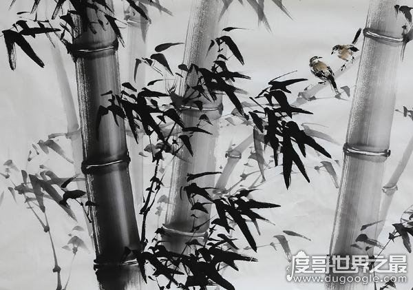 胸有成竹的主人公是谁，文同(文与可)画竹不用草图早已“胸有成竹”