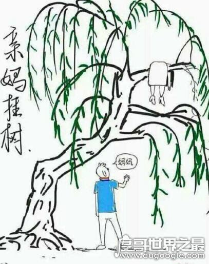 坟头蹦迪是什么梗出处,灵车漂移骨灰拌饭表情包