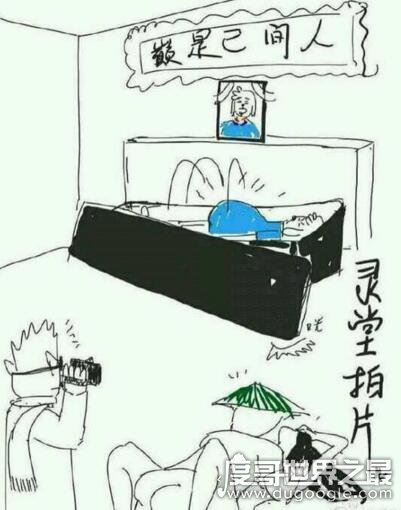 坟头蹦迪是什么梗出处，灵车漂移骨灰拌饭表情包