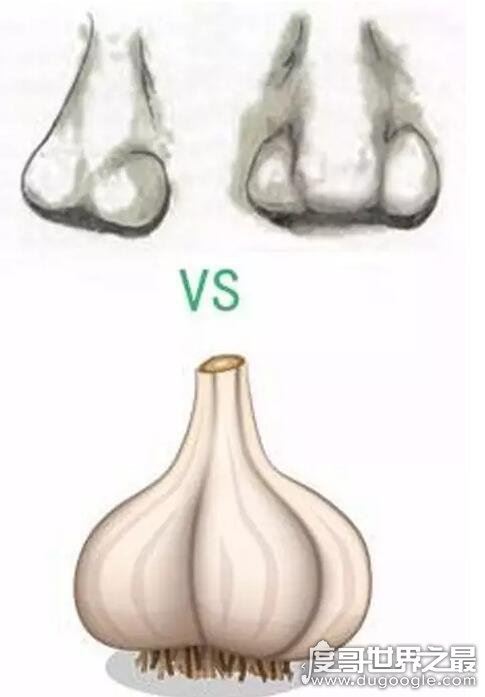 最丑的几种鼻子图片,每一种都会拉低颜值(塌鼻子大家公认最丑)