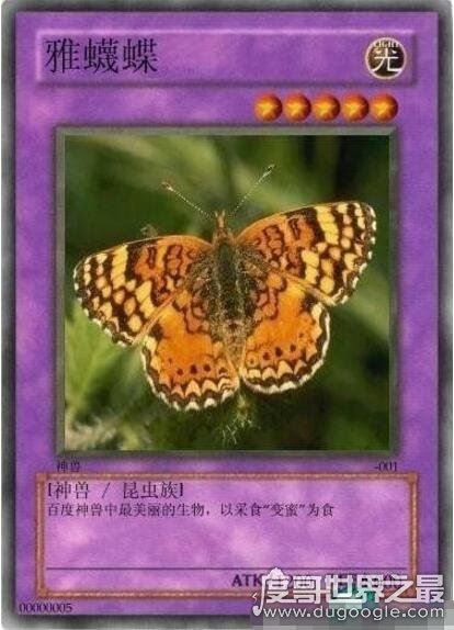 雅蠛蝶是什么意思,日语不要的意思(网络十大神兽之一)