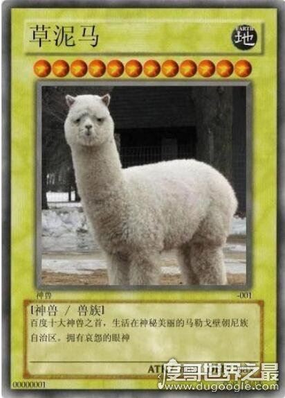 雅蠛蝶是什么意思，日语不要的意思(网络十大神兽之一)