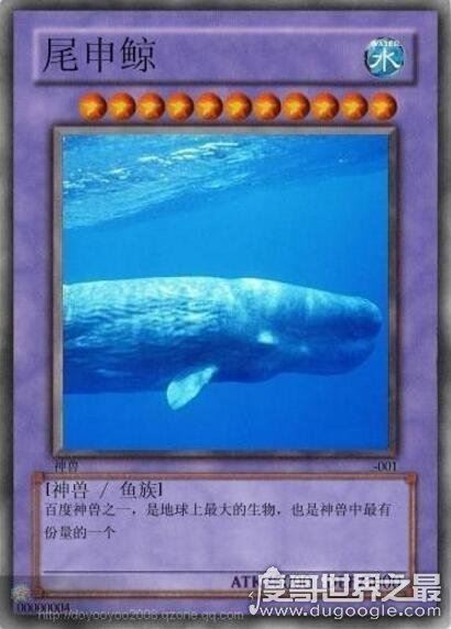 雅蠛蝶是什么意思，日语不要的意思(网络十大神兽之一)