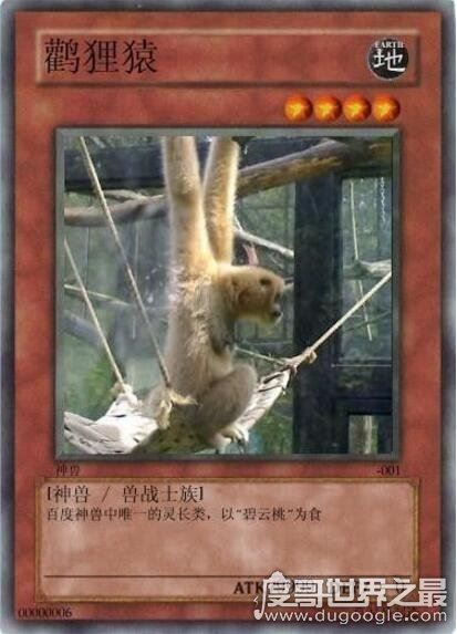 雅蠛蝶是什么意思，日语不要的意思(网络十大神兽之一)