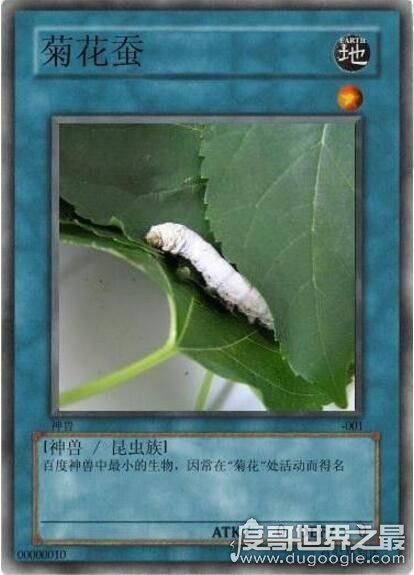 雅蠛蝶是什么意思,日语不要的意思(网络十大神兽之一)