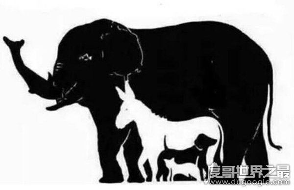 一张图测出你的智商，盘点一些考研智商又考验眼力的图片