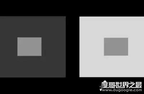 一张图测出你的智商，盘点一些考研智商又考验眼力的图片