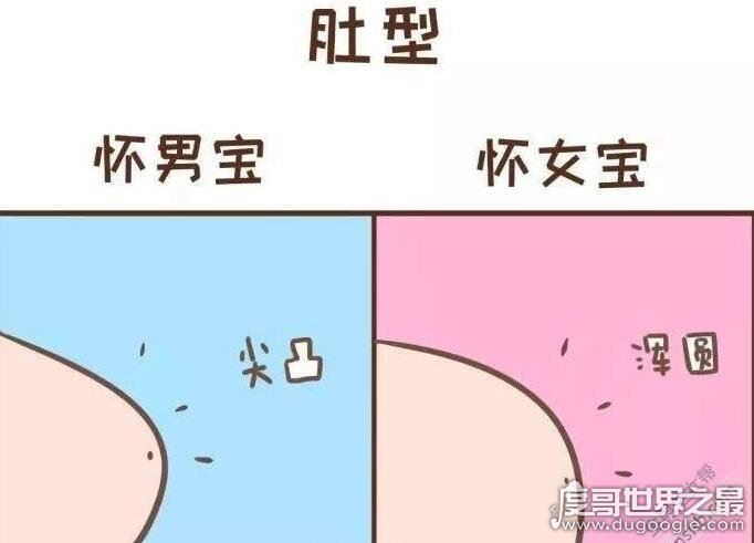 医生说怀男孩的特点，6条如果中3条以上应该就可确定了