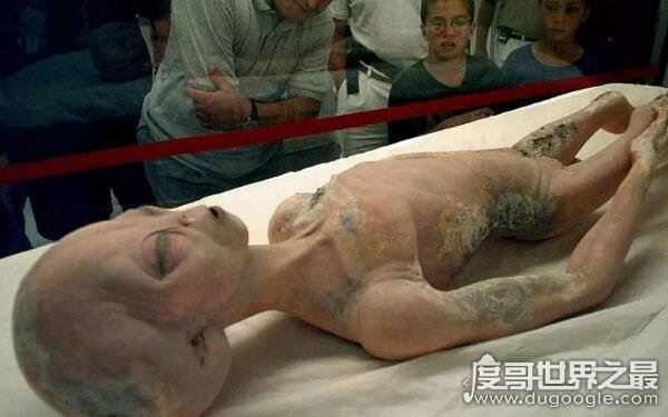 和外星人同居，黄延秋事件是真的吗（黄延秋事件已真相大白）