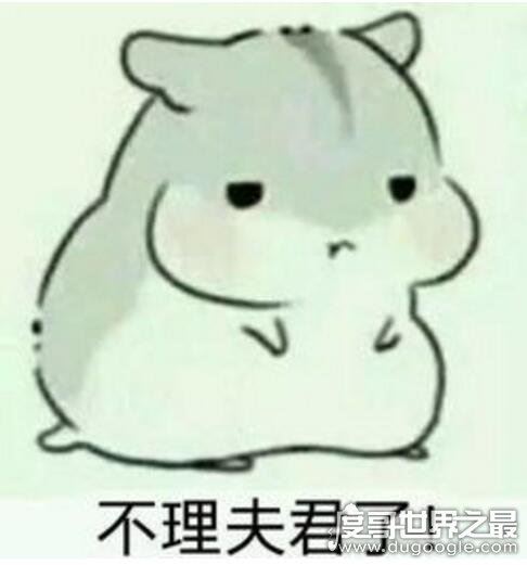 关于男朋友的100种叫法,女生喊自己男朋友最潮的称呼盘点